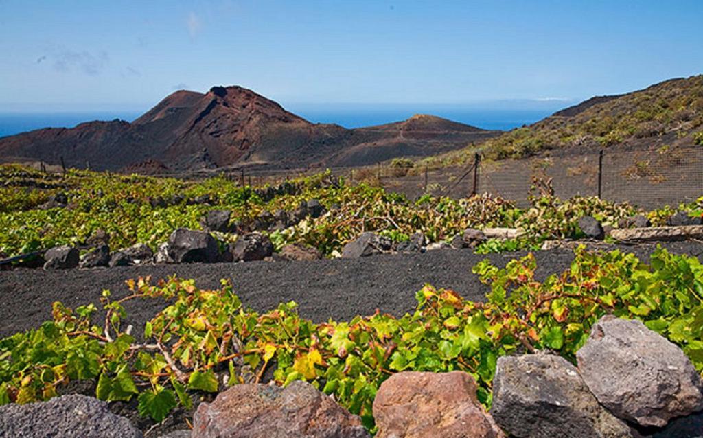 La Palmerita Vacacional Лос Лианос де Аридане Екстериор снимка